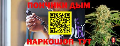 прущие грибы Усть-Джегута