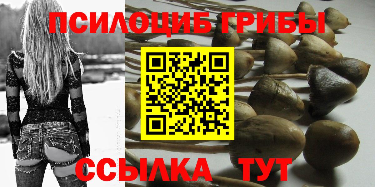 Барнаул  Галлюциногенные грибы Psilocybine cubensis  Вход с VPN 